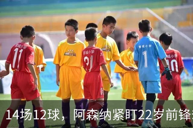 14场12球，阿森纳紧盯22岁前锋却要等到夏天